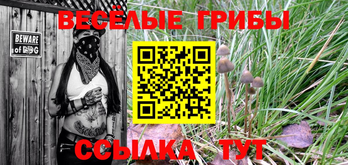 Псилоцибиновые грибы мухоморы  Галлюциногенные грибы Magic Shrooms  Ессентуки  Вход с VPN 